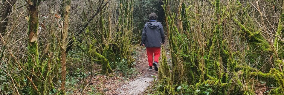 Bain de forêt en sylvothérapie près de Rennes